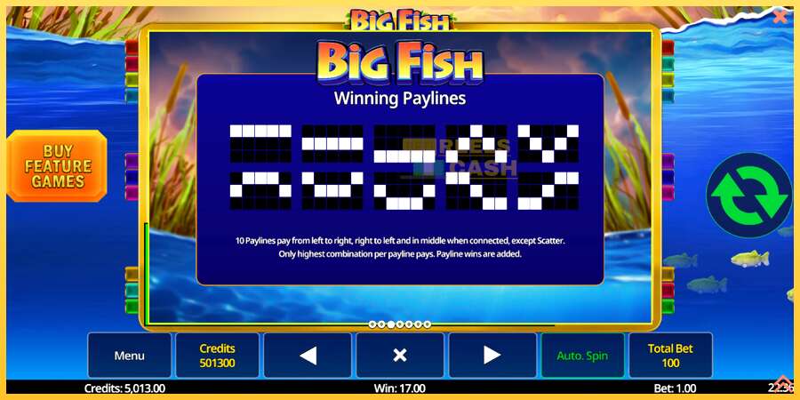 Big Fish акча үчүн оюн машинасы, сүрөт 6