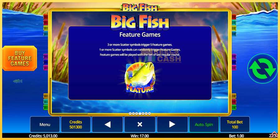 Big Fish акча үчүн оюн машинасы, сүрөт 7