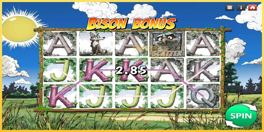 Bison Bonus акча үчүн оюн машинасы, сүрөт 2