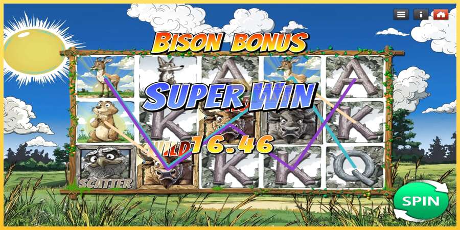 Bison Bonus акча үчүн оюн машинасы, сүрөт 3