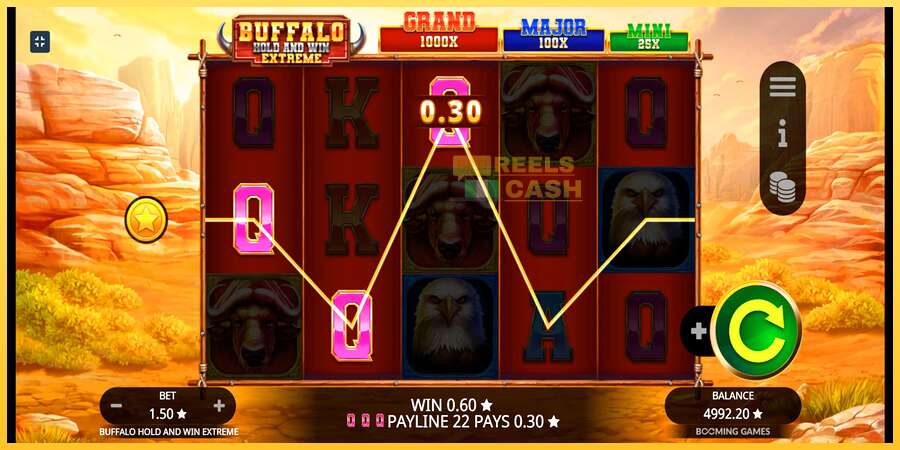 Buffalo Hold and Win Extreme акча үчүн оюн машинасы, сүрөт 4