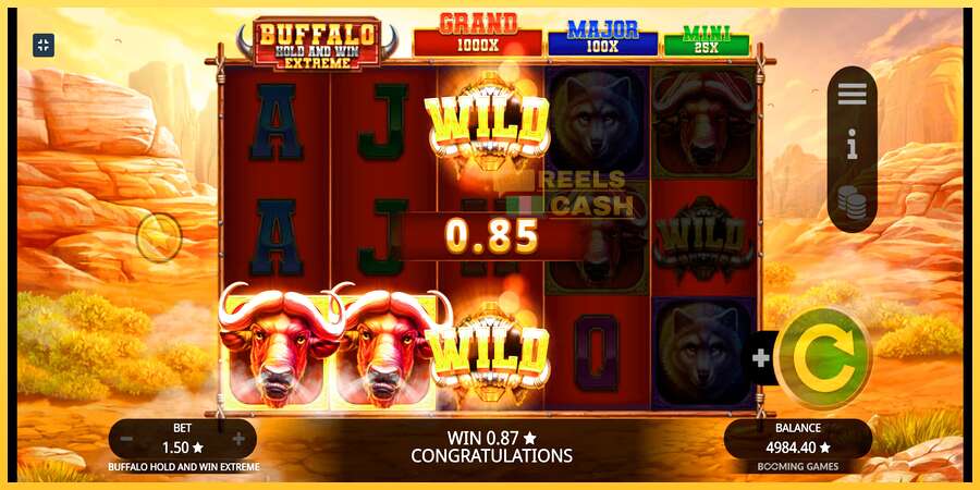 Buffalo Hold and Win Extreme акча үчүн оюн машинасы, сүрөт 6