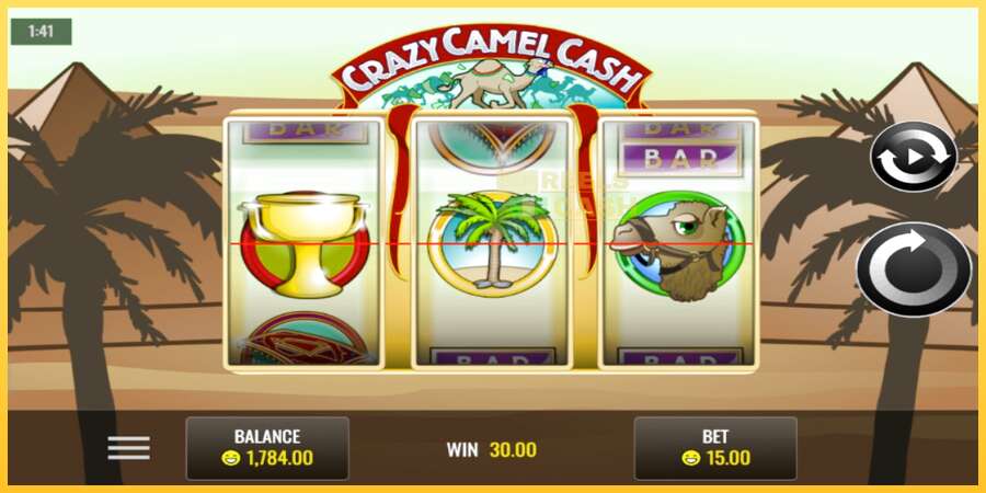 Crazy Camel Cash акча үчүн оюн машинасы, сүрөт 4