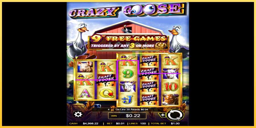 Crazy Goose акча үчүн оюн машинасы, сүрөт 2