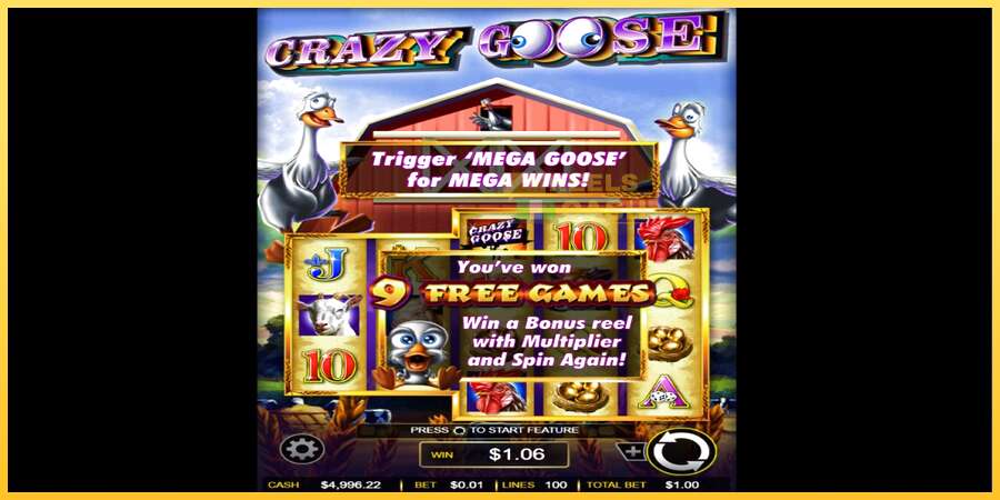 Crazy Goose акча үчүн оюн машинасы, сүрөт 3