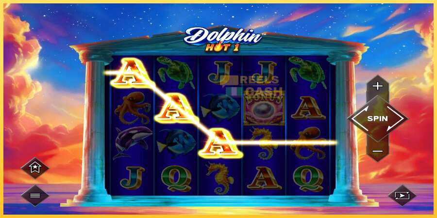 Dolphin Hot 1 акча үчүн оюн машинасы, сүрөт 3