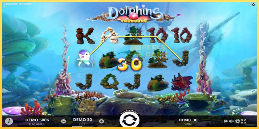 Dolphins Treasure акча үчүн оюн машинасы, сүрөт 3