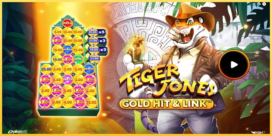 Gold Hit & Link: Tiger Jones акча үчүн оюн машинасы, сүрөт 1