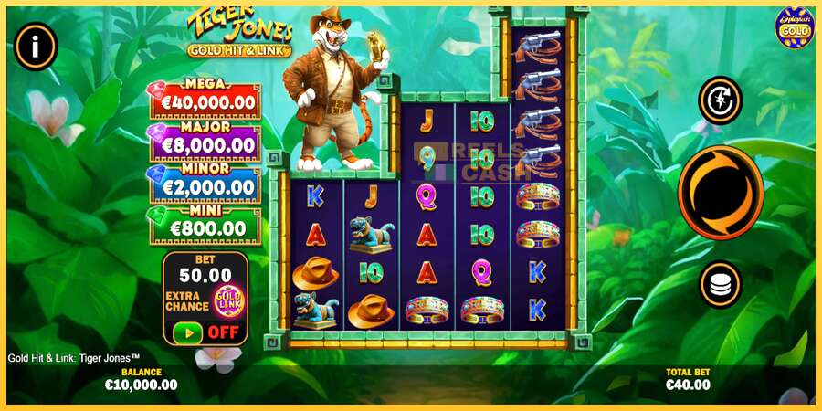 Gold Hit & Link: Tiger Jones акча үчүн оюн машинасы, сүрөт 2