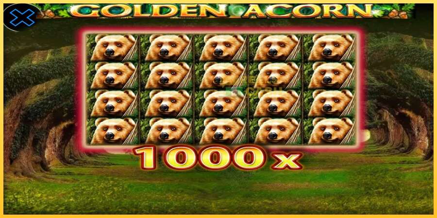 Golden Acorn акча үчүн оюн машинасы, сүрөт 4