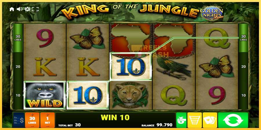 King of the Jungle Golden Nights акча үчүн оюн машинасы, сүрөт 2