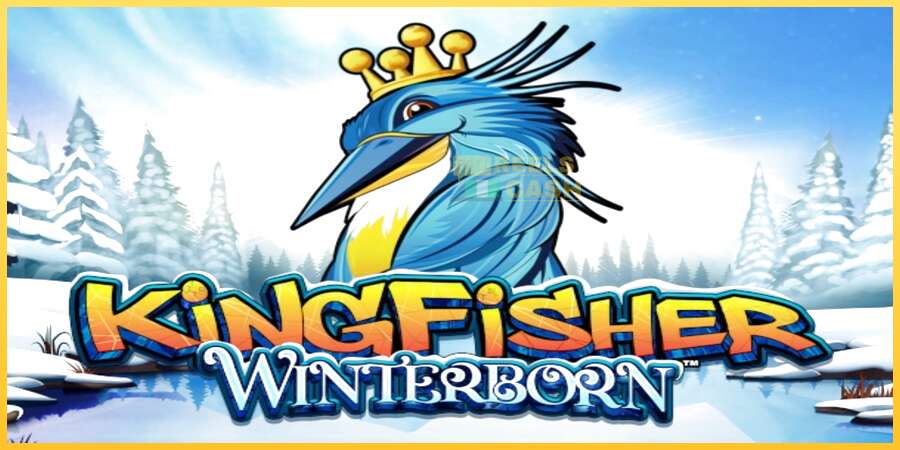 Kingfisher Winterborn акча үчүн оюн машинасы, сүрөт 1