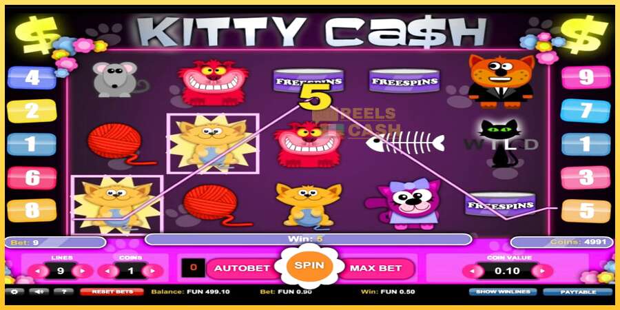 Kitty Cash акча үчүн оюн машинасы, сүрөт 3