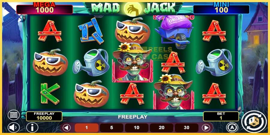 Mad Jack Hold & Win акча үчүн оюн машинасы, сүрөт 1