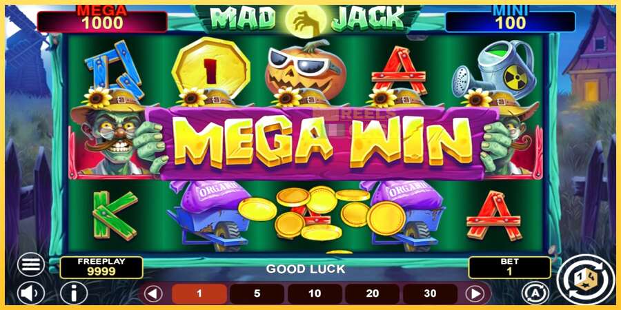 Mad Jack Hold & Win акча үчүн оюн машинасы, сүрөт 2