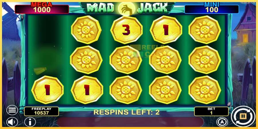 Mad Jack Hold & Win акча үчүн оюн машинасы, сүрөт 3