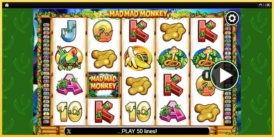 Mad Mad Monkey акча үчүн оюн машинасы, сүрөт 1