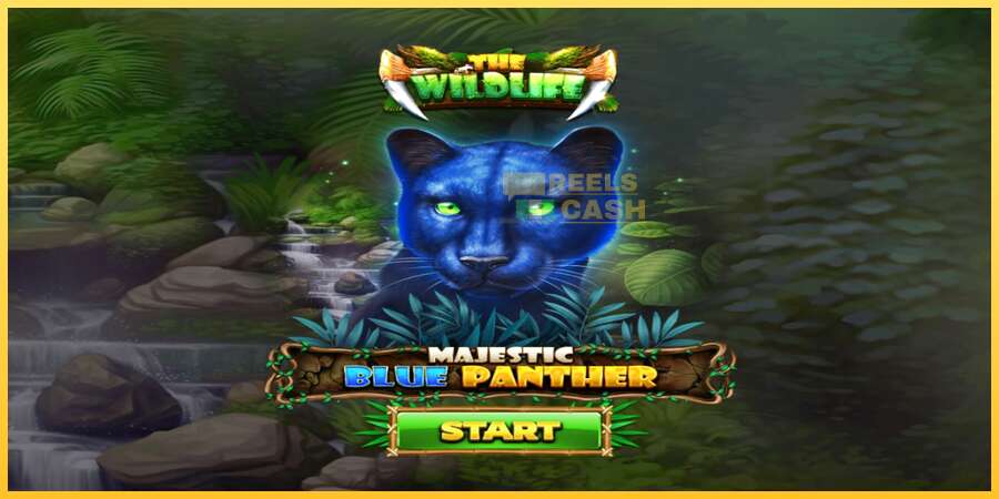 Majestic Blue Panther акча үчүн оюн машинасы, сүрөт 1