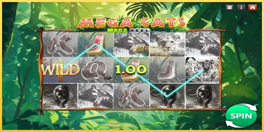 Mega Cats Mega Reel акча үчүн оюн машинасы, сүрөт 3