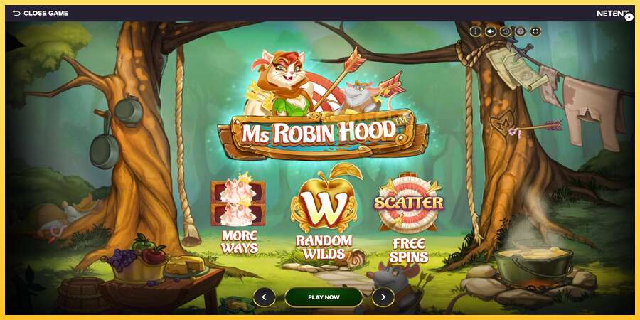 Ms Robin Hood акча үчүн оюн машинасы, сүрөт 1