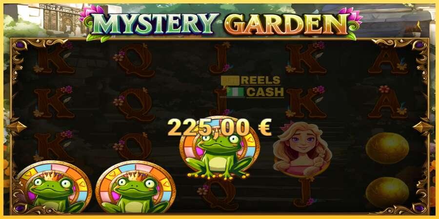 Mystery Garden акча үчүн оюн машинасы, сүрөт 5