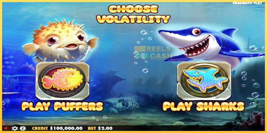 Puffers Vs Sharks акча үчүн оюн машинасы, сүрөт 1