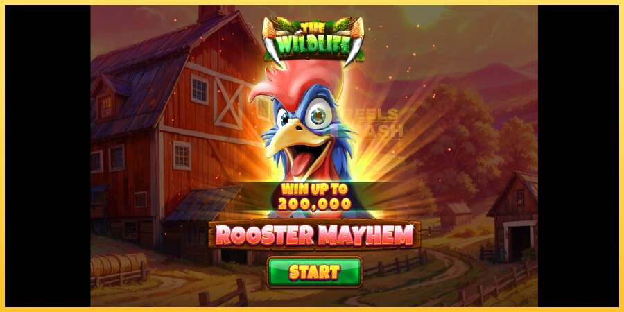 Rooster Mayhem акча үчүн оюн машинасы, сүрөт 1