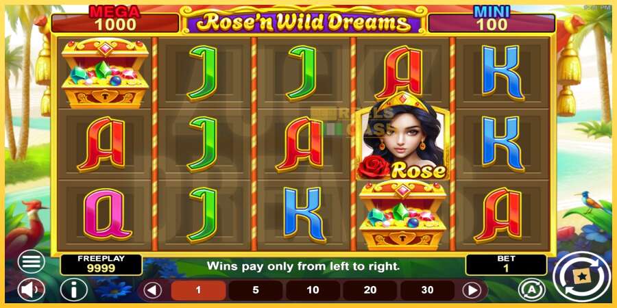 Rose’n Wild Dreams Hold & Win акча үчүн оюн машинасы, сүрөт 2