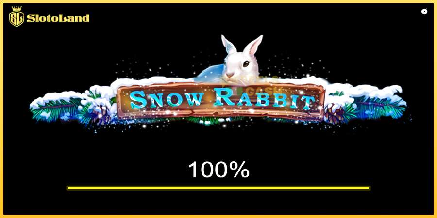 Snow Rabbit акча үчүн оюн машинасы, сүрөт 1