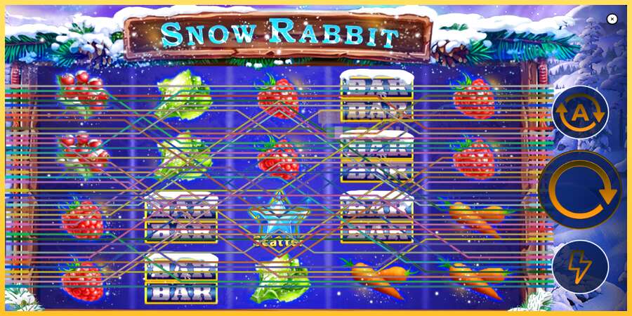 Snow Rabbit акча үчүн оюн машинасы, сүрөт 2