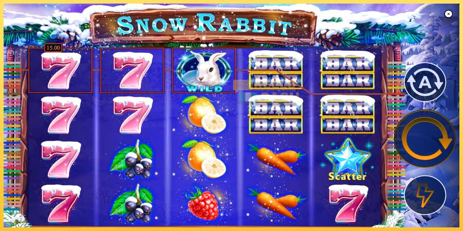 Snow Rabbit акча үчүн оюн машинасы, сүрөт 3