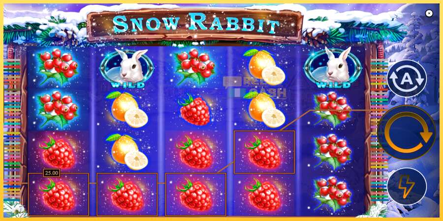 Snow Rabbit акча үчүн оюн машинасы, сүрөт 4