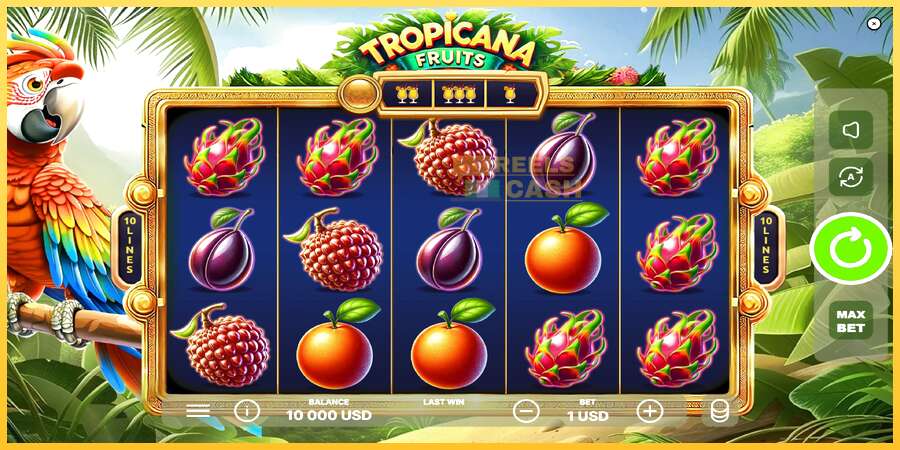 Tropicana Fruits акча үчүн оюн машинасы, сүрөт 2