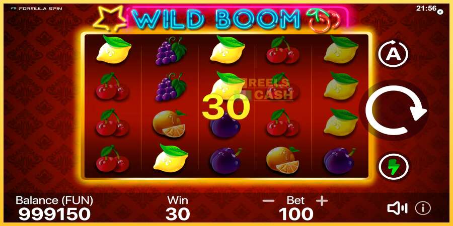 Wild Boom акча үчүн оюн машинасы, сүрөт 4