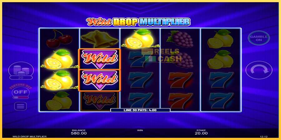 Wild Drop Multiplier акча үчүн оюн машинасы, сүрөт 3