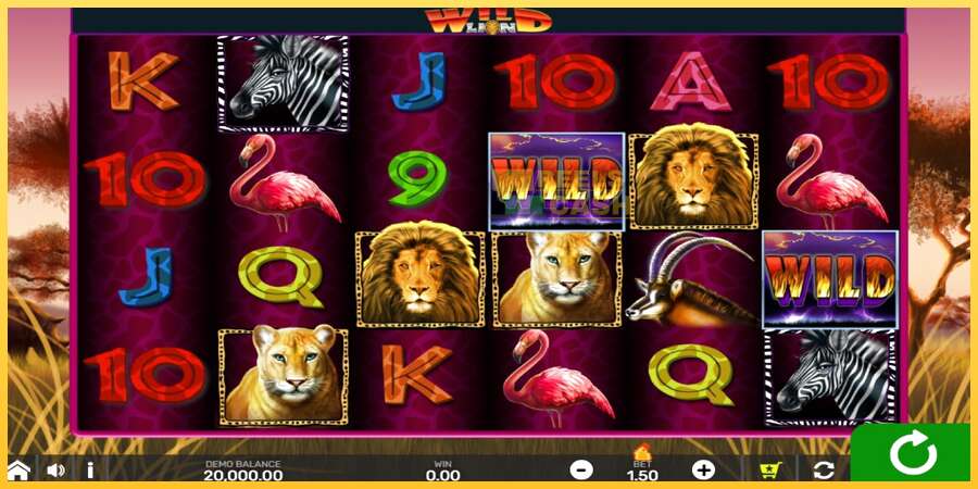 Wild Lion with Reel Bingo акча үчүн оюн машинасы, сүрөт 1