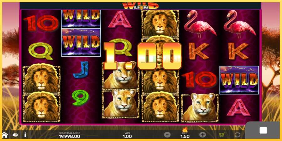 Wild Lion with Reel Bingo акча үчүн оюн машинасы, сүрөт 2