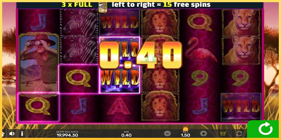 Wild Lion with Reel Bingo акча үчүн оюн машинасы, сүрөт 3