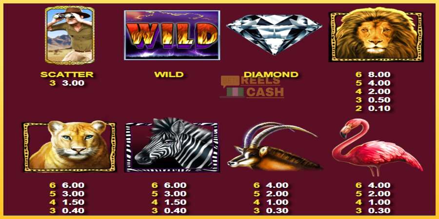 Wild Lion with Reel Bingo акча үчүн оюн машинасы, сүрөт 4