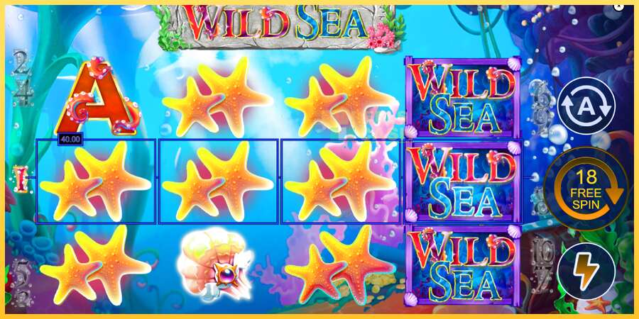 Wild Sea акча үчүн оюн машинасы, сүрөт 4