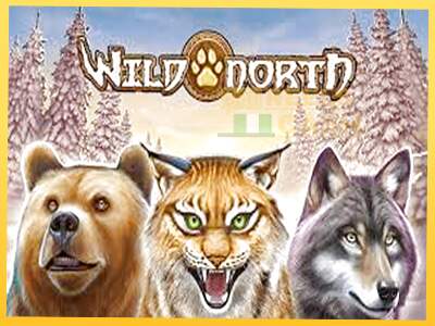 Wild North акча үчүн оюн машинасы