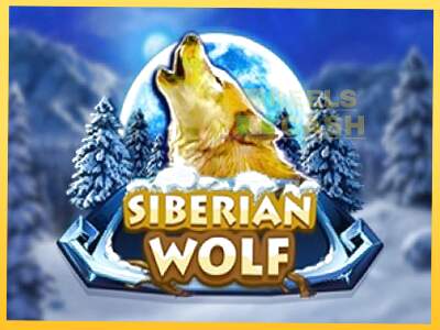 Siberian Wolf акча үчүн оюн машинасы