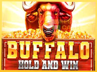 Buffalo Hold and Win Extreme акча үчүн оюн машинасы