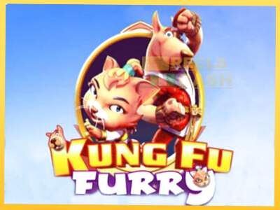 Kung fu Furry акча үчүн оюн машинасы