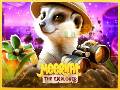 Meerkat акча үчүн оюн машинасы