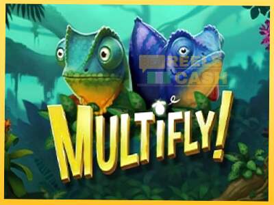 MultiFly! акча үчүн оюн машинасы