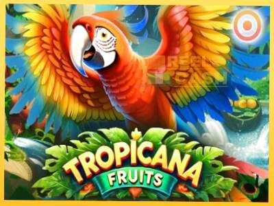 Tropicana Fruits акча үчүн оюн машинасы