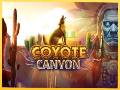 Coyote Canyon акча үчүн оюн машинасы