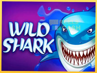 Wild Shark акча үчүн оюн машинасы